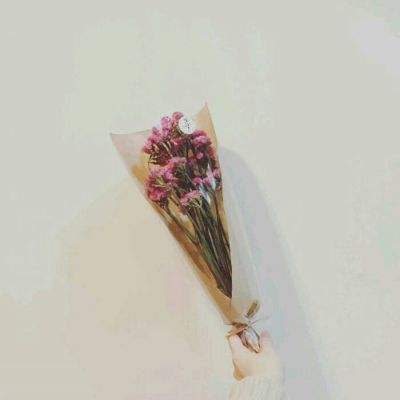 聊斋之婆娑世界手游(暂未上线)v1.0 安卓版